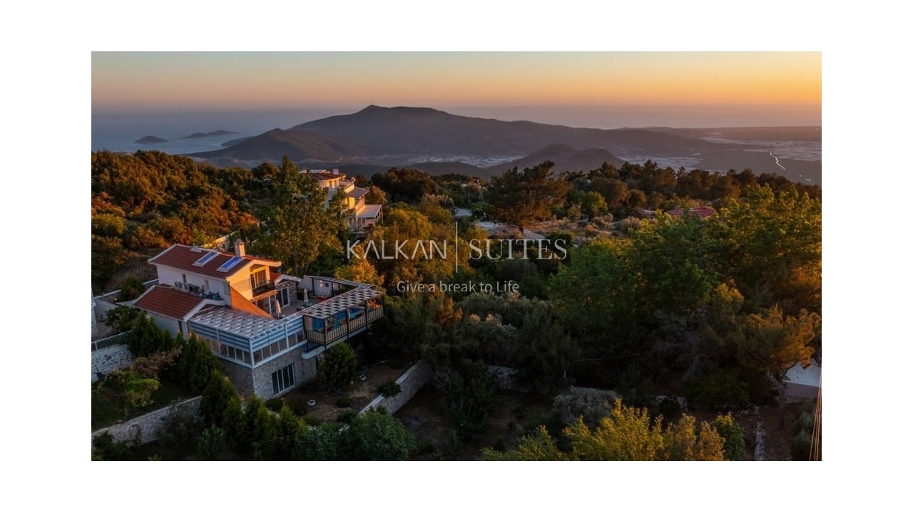 Villa Stella 3100