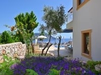 Villa Dionysus 4464